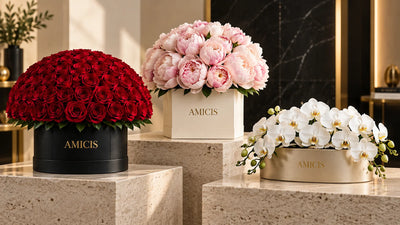 Flower Boxes