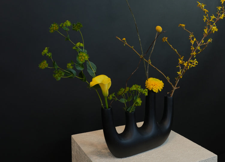 Vase Collection