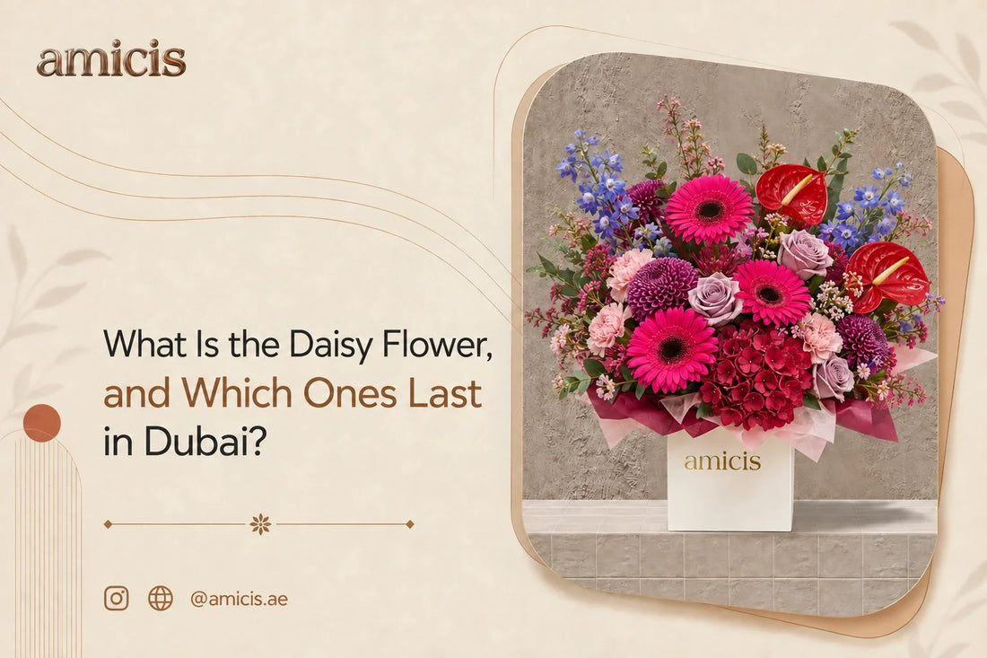 Pink gerbera daisies with anthurium and hydrangea in an Amicis box in Dubai