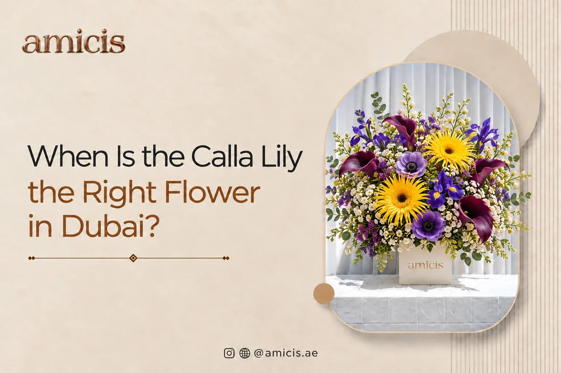 Burgundy calla lilies with yellow gerbera and iris in an Amicis box in Dubai
