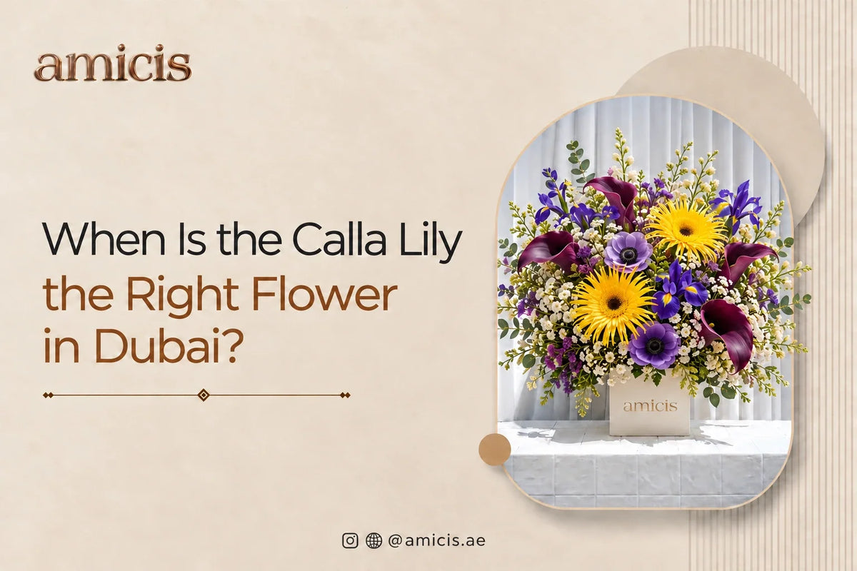 Burgundy calla lilies with yellow gerbera and iris in an Amicis box in Dubai