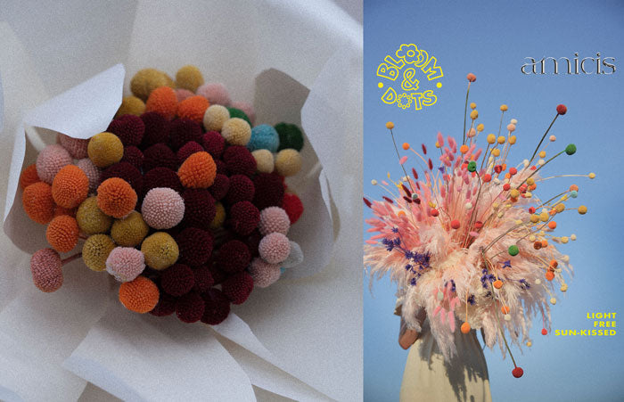 Bloom and Dots | Summer Collection 2026