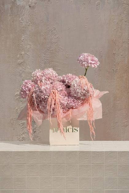 Pink & Blush