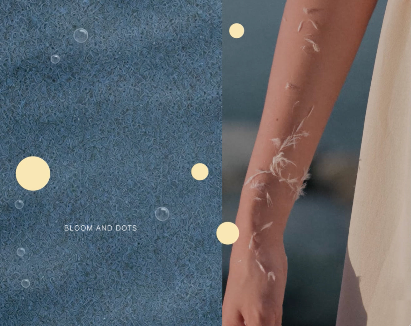 Bloom and Dots