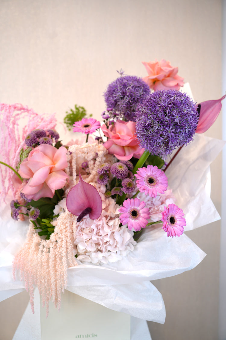 Amicis Blush - blush pink roses, purple alliums, pink gerberas, and trailing amaranthus in a cream gift box by Amicis