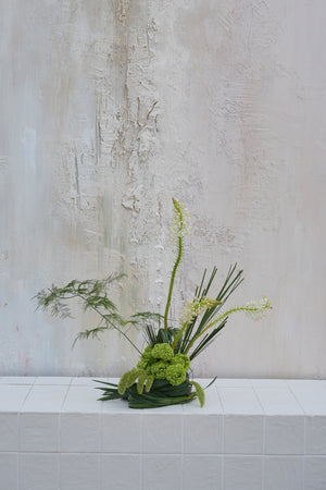Leafy Bloom