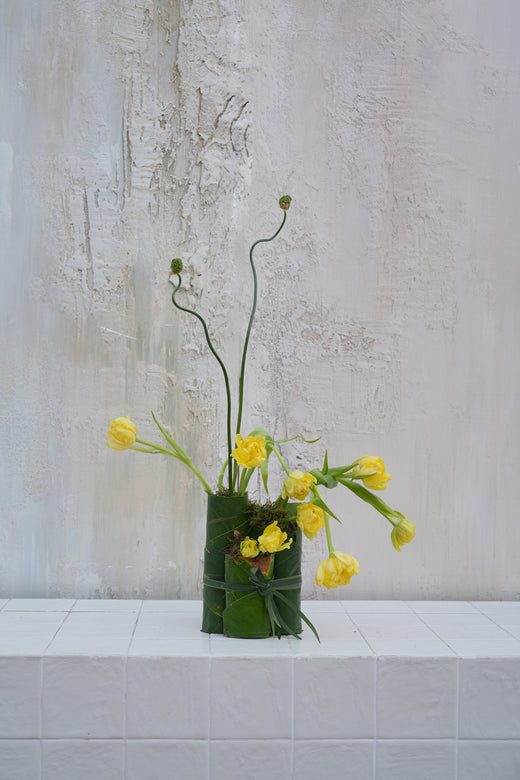 Spring chime