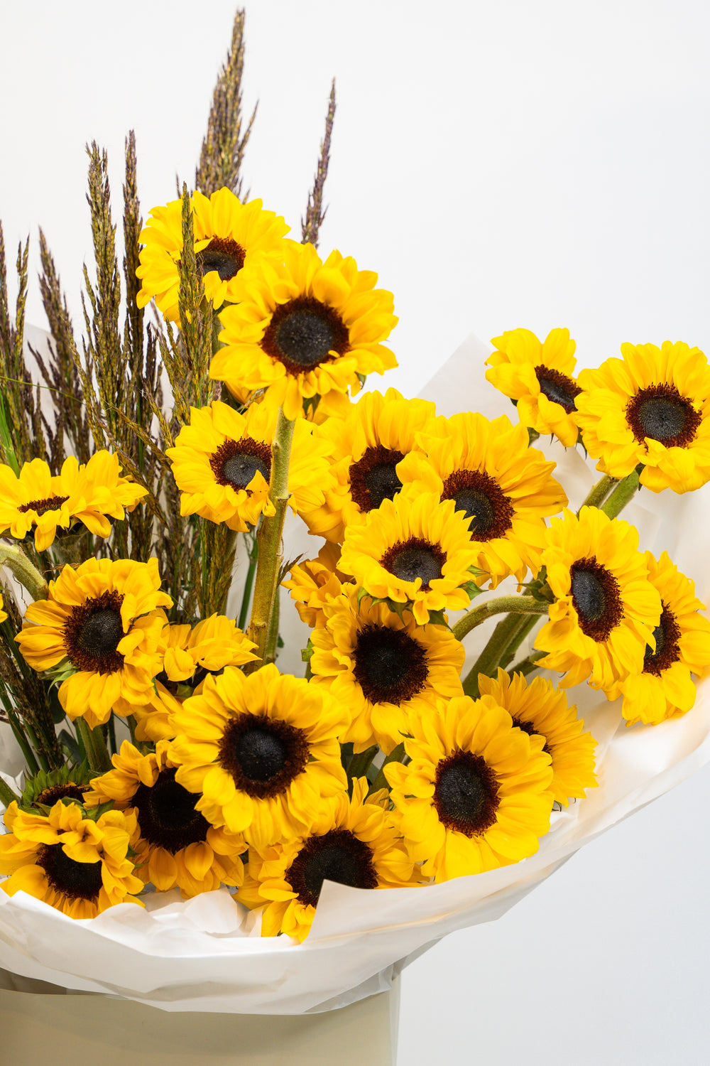 Golden Charm - bright yellow sunflowers with tall dried grass in white wrapping and a cream gift bag by Amicis