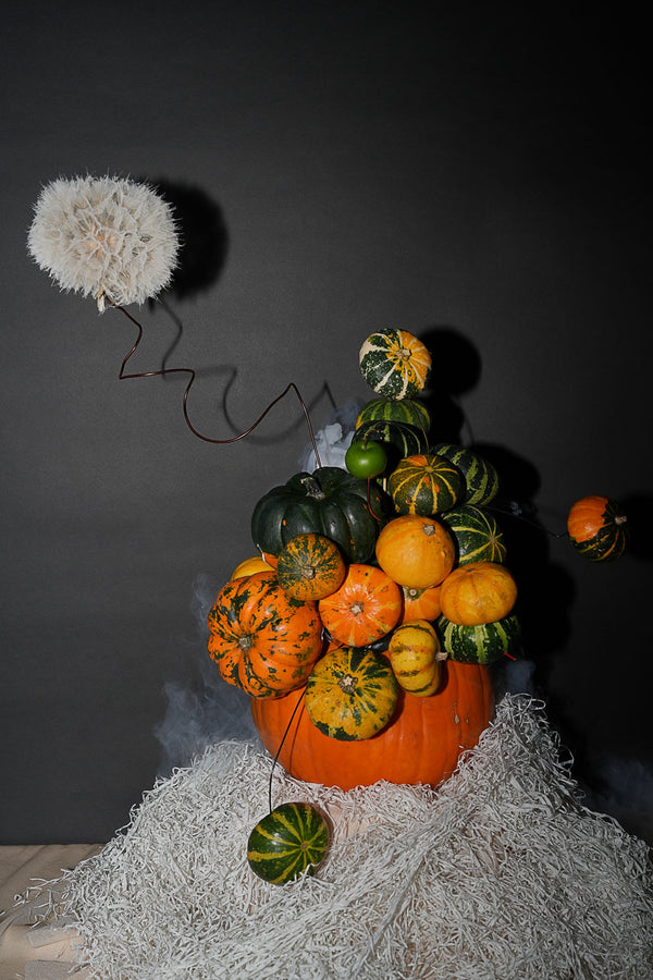 Decorative arrangement of pumpkins and gourds with a dandelion on a dark background