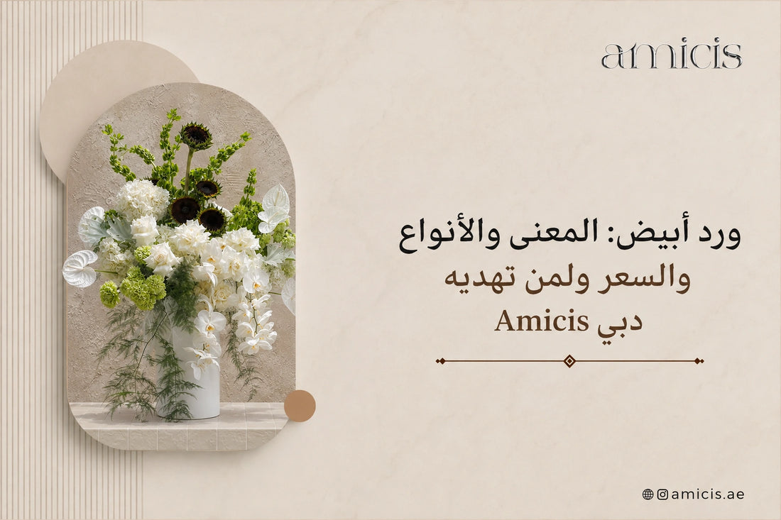 بانر مقال الورد الابيض من Amicis مع تنسيق ابيض