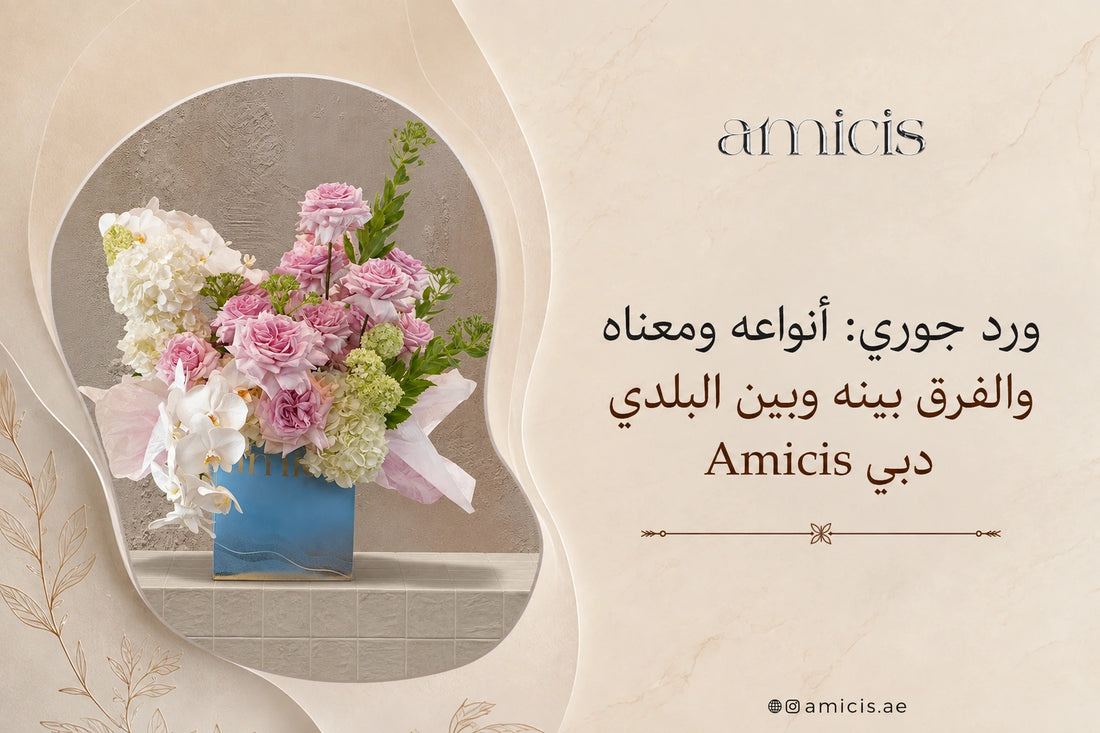 بانر مقال الورد الجوري من Amicis مع باقة ورد جوري
