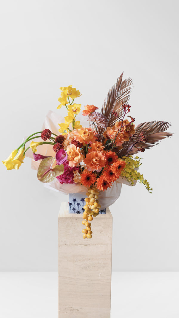 إكليبس 1 (نسخة) (نسخة) (نسخة) (نسخة)