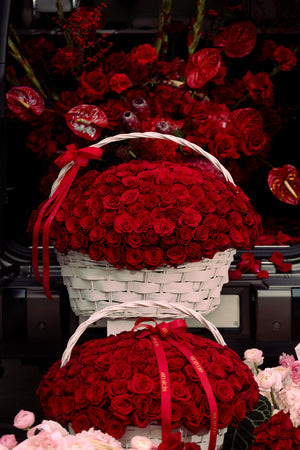 Cupid’s Promise