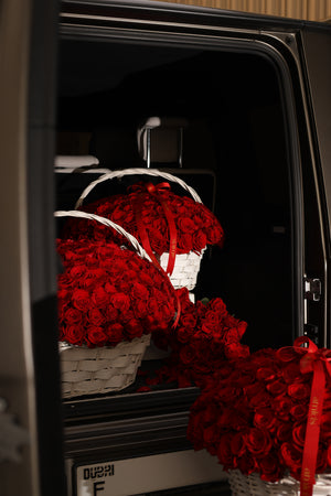 Cupid’s Promise
