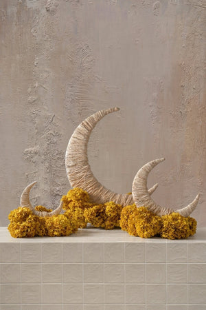 Moon Flower Structure — تنسيق ورد فاخر من Amicis