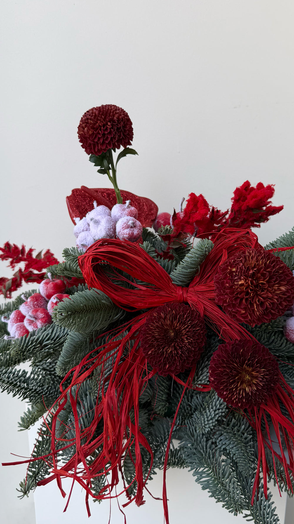 Sparkle Holidays 12 - deep red mums, frosted berries, and pine branches with red feathery accents in a festive arrangement by Amicis