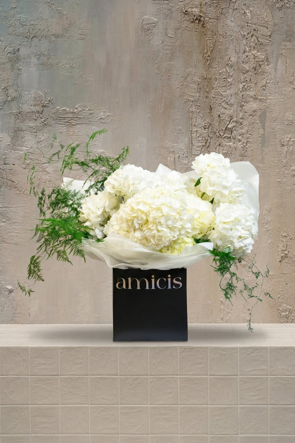 Gentle whisper - lush bouquet of crisp white hydrangeas with trailing green asparagus fern in a black gift box by Amicis
