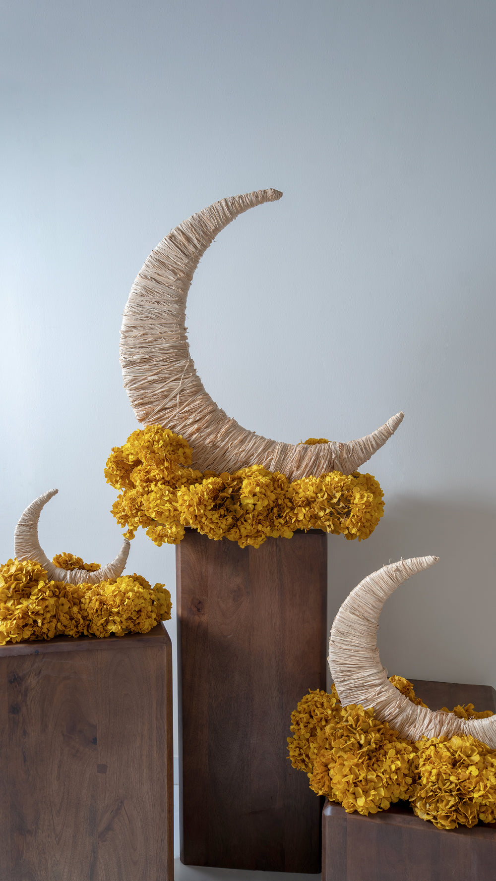 Moon Flower Structure