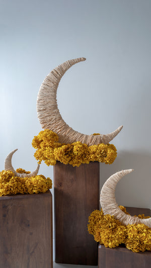 Moon Flower Structure