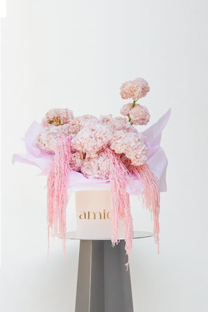 Blush Petals