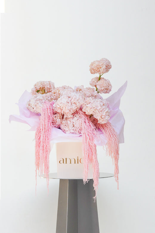 Blush Petals