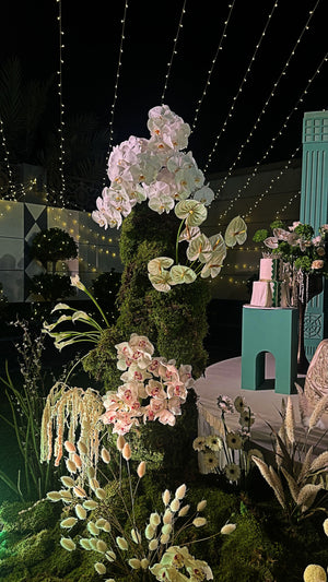 Event Package (Book Consultation)