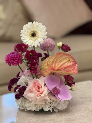 The Bloom Accent