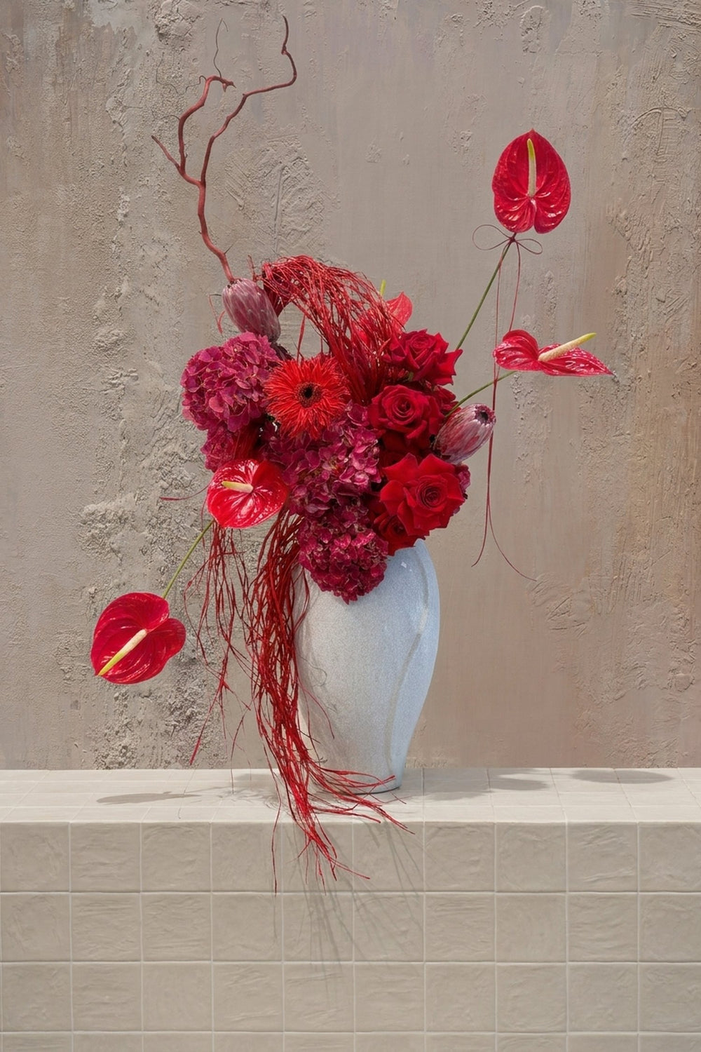 Toonz in Bloom - deep red roses, magenta hydrangeas, bright red anthurium, and protea with trailing red accents in a white ceramic vase by Amicis.