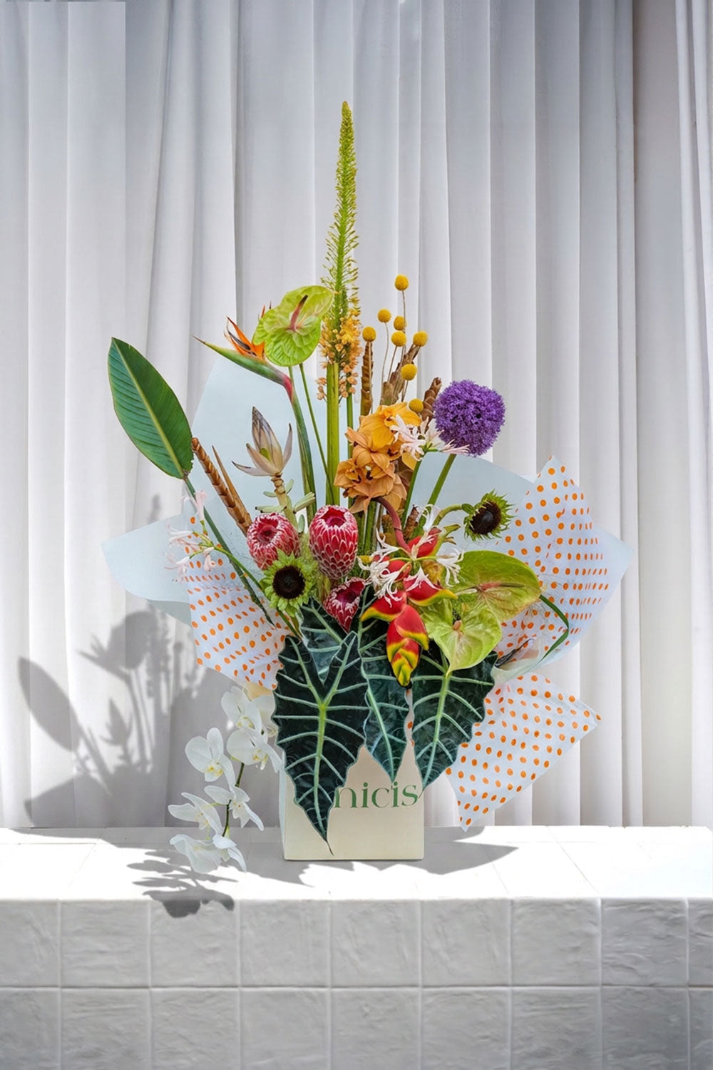 Tropical Bloom