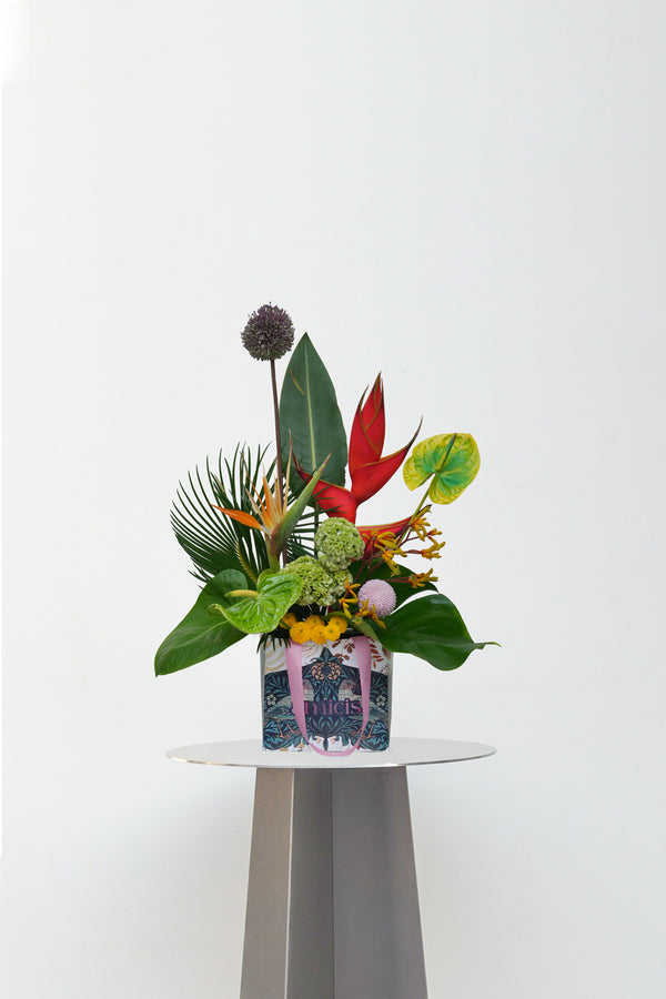 Tropical Bloom