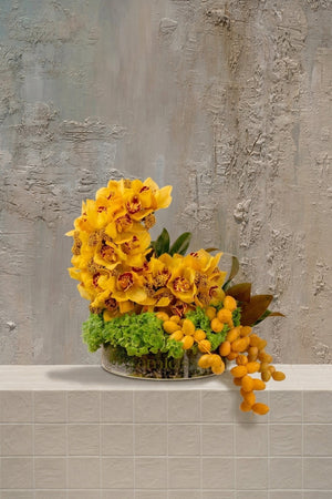 Twilight Bloom - yellow Cymbidium orchids with red centers, green foliage, and trailing orange dates in a textured ceramic bowl by Amicis