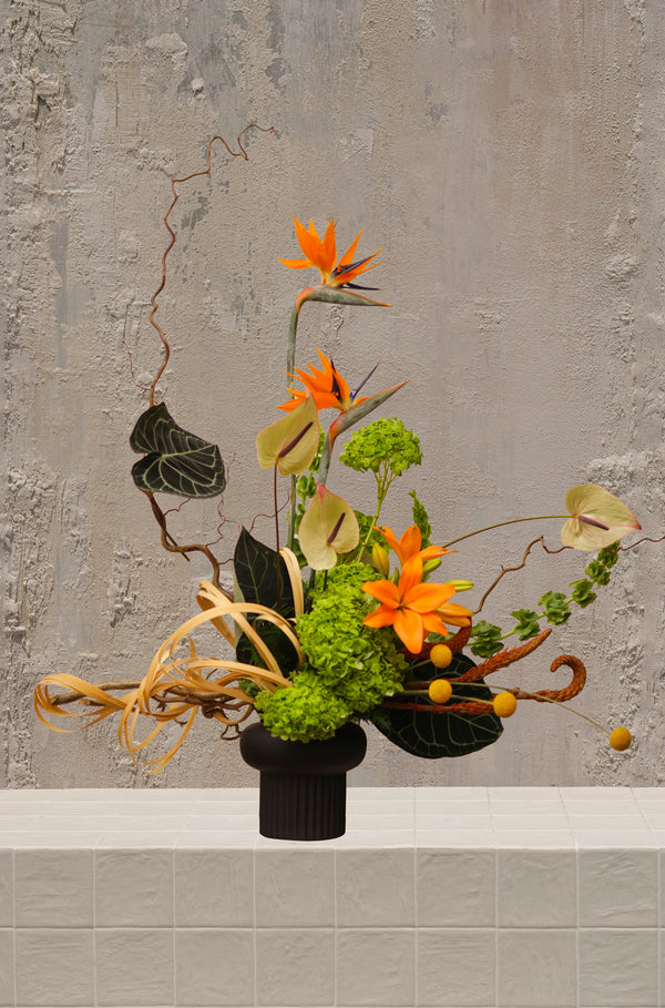 Tropical Symphony
